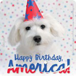 Fourth of July Stickers