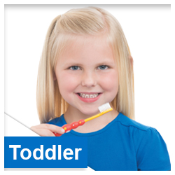 Toddler Toothbrushes