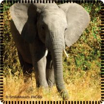 Favorite Animals Stickers