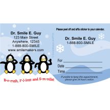 Custom BrushFlossSmile Penguins Appointment Cards