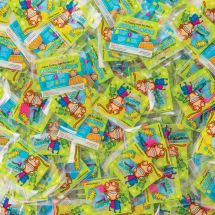 500 SmileCare™ Brush Floss Smile Monkey Bulk Single Pack Dental Flossers