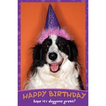 Birthday Dog Greeting Cards
