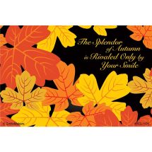 Autumn Splendor Recall Cards