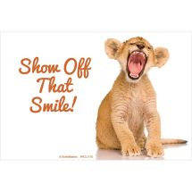 Baby Tiger Smile Recall Cards