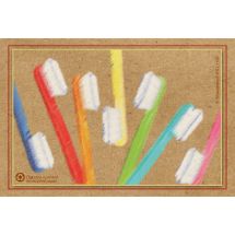 Toothbrushes Recycled Recall Cards