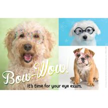 Rachael Hale Bow-Wow Eye Exam Recall Cards
