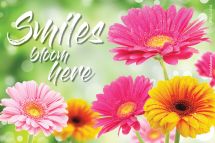 Custom Smiles Bloom Here Recall Cards