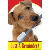 Dog with Toothbrush Recall Cards
