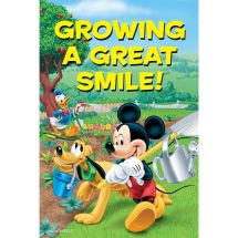 Mickey & Friends Garden Recall Cards