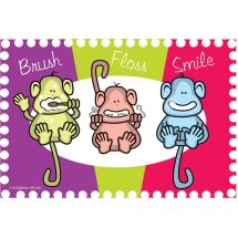 Colour Monkey Spotlight Recall Cards