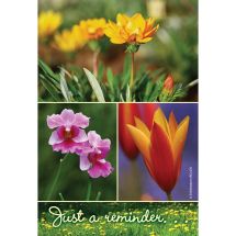 Wildflower Reminder Recall Cards
