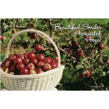 Apple Harvest Recall Cards