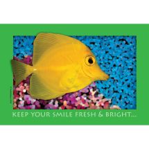 Fresh & Bright Fishy Recall Cards