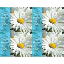 Daisy Dental Laser Cards