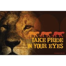 Lion Pride Eyes Recall Cards