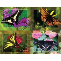 Assorted Butterflies Laser Cards