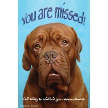 You Are Missed Recall Cards