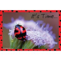 Ladybug Recall Cards