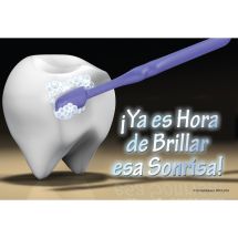 Spanish Time To Shine Recall Cards