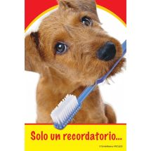 Spanish Dog with Toothbrush Recall Cards