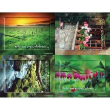 Spanish Nature Scenic Laser Cards