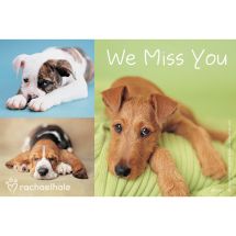 Rachael Hale Dogs We Miss You Recall Cards