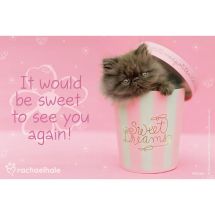 Rachael Hale Sweet Pink Cat Recall Cards