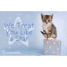 Rachael Hale Cat Treat You Like A Star Recall Cards