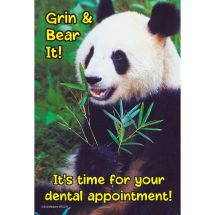 Grin & Bear It Panda Recall Cards