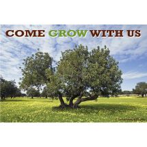 Grow With Us Recall Cards