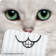 Cat Smiles Stickers