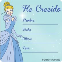 Disney Princess Spanish I've Grown Stickers