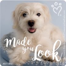 Rachael Hale Made You Look Stickers