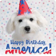 Rachael Hale Patriotic Stickers