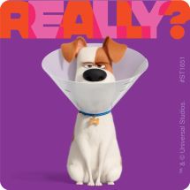 The Secret Life of Pets 2 Stickers