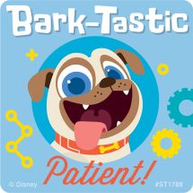 Puppy Dog Pals Patient Stickers
