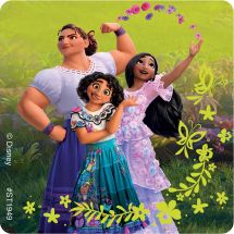 Disney Encanto Stickers