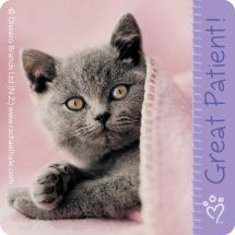 Rachael Hale&#174; Patient Stickers