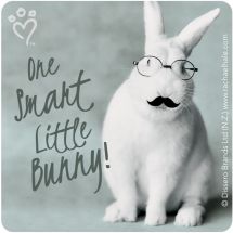 Rachael Hale Glasses & Moustaches Stickers