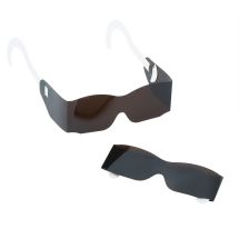 Blue Adult Paper Temple Glasses