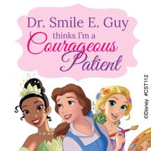 Disney Princess Custom Stickers