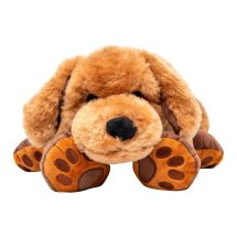 Theo the Therapy Dog