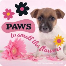 Rachael Hale Let's Pawty Stickers