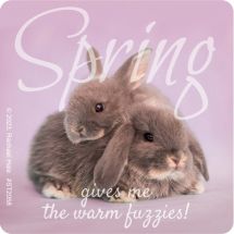 Rachael Hale Spring Fuzzies Stickers