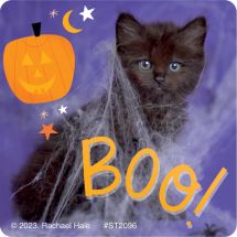 Rachael Hale Boo! Crew Stickers