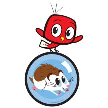 Playful Pets Bird and Hamster Wall Decal